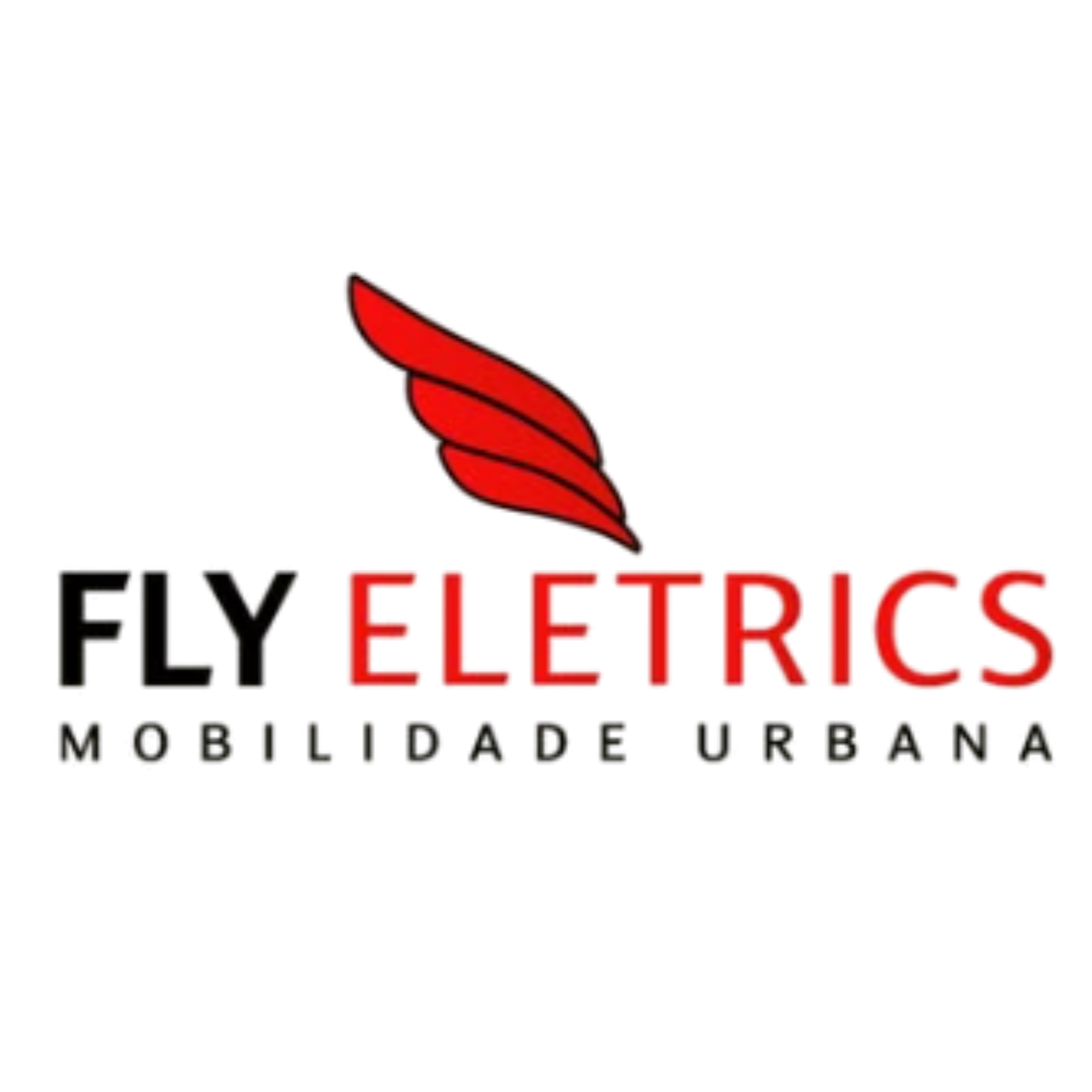 Fly Eletrics